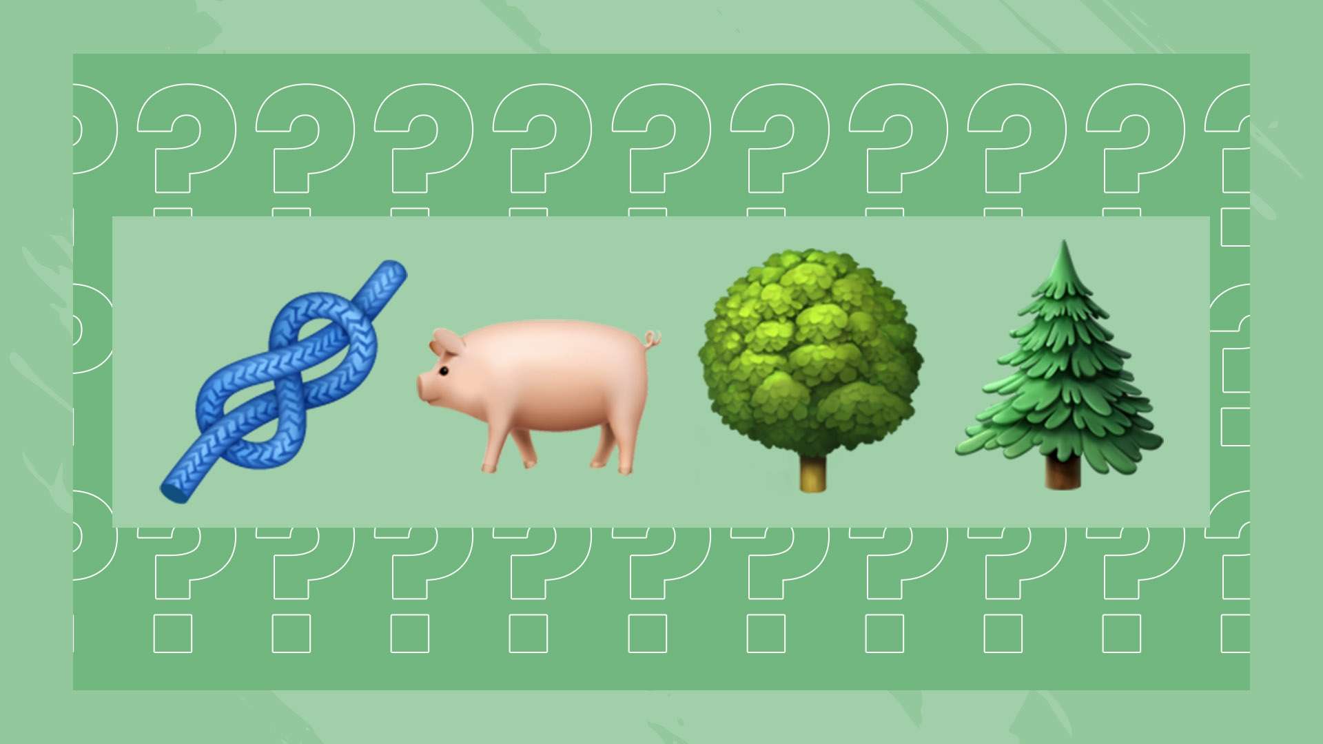 而全队成员 而全队成员