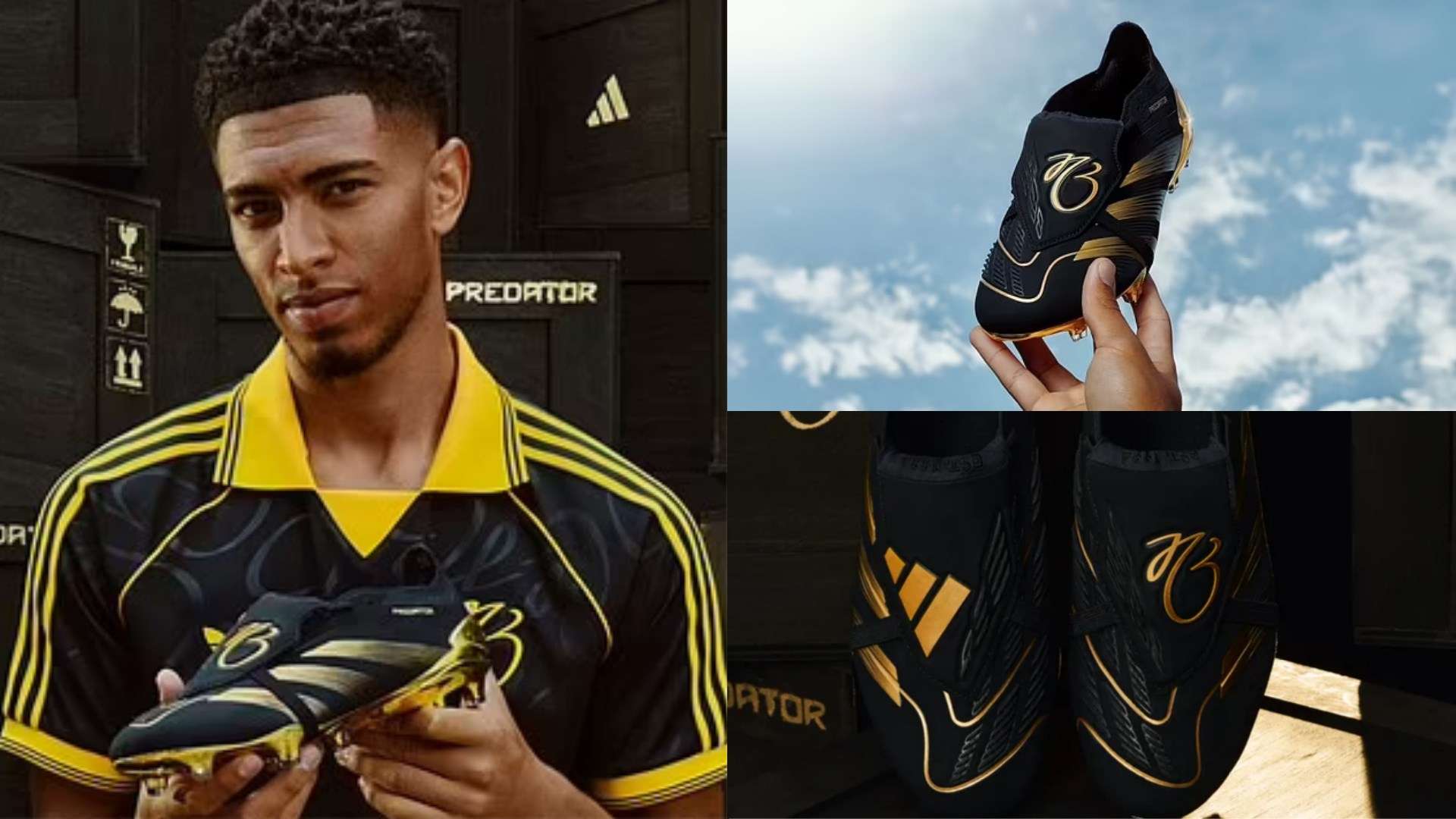 术能力和比 术能力和比